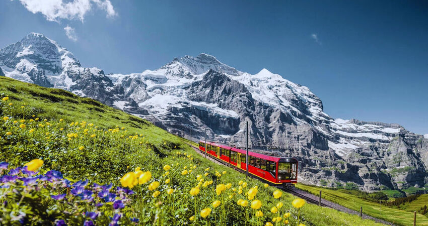 Almanya Fransa İsviçre Turu (Alpler`de Tren Yolculuğu ve Alsace Colmar)