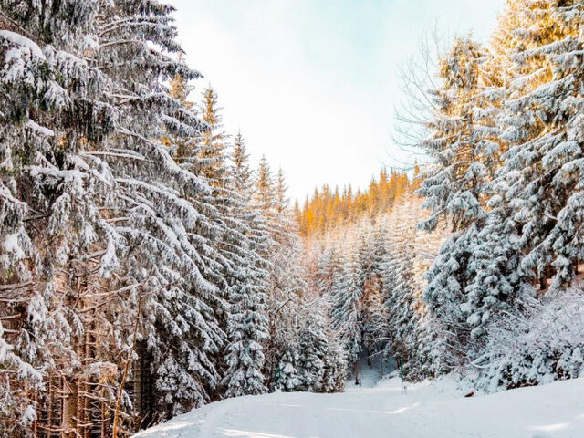 3'lü KAR KEYFİ KARTEPE&ULUDAĞ&ABANT