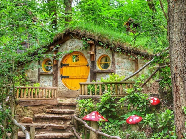 Şile Ağva Yedigöller Ormanya Abant Maşukiye