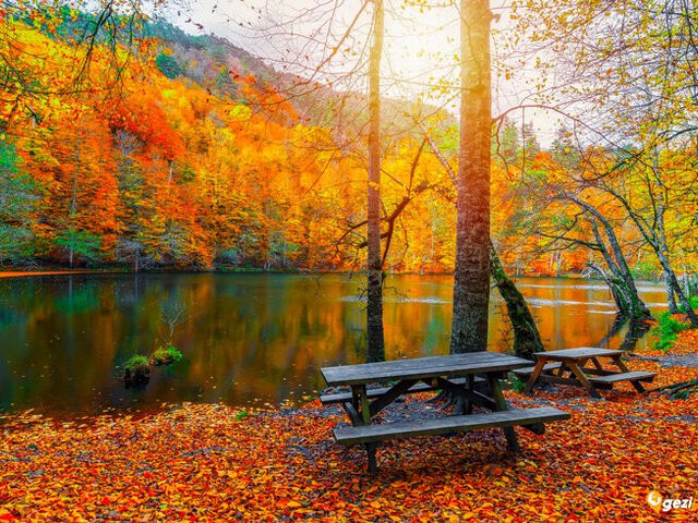 Şile Ağva Yedigöller Ormanya Abant Maşukiye