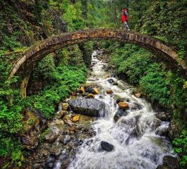 Uçaklı Premium Karadeniz Yayla Konaklamalı 5Gece 6Gün